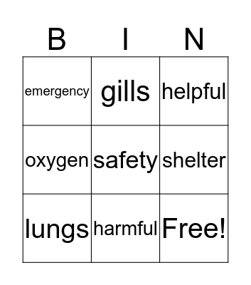 Necessities of Life Bingo Card