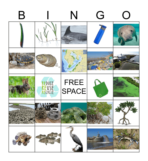 INTRODUCTION BINGO Card