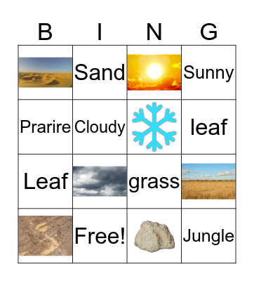 Ecosystem Bingo Card