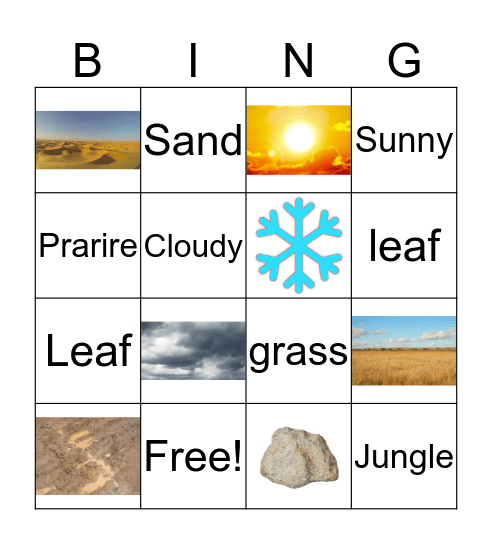 Ecosystem Bingo Card