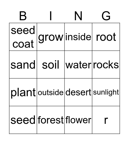 How Plants Grow Bingo Card