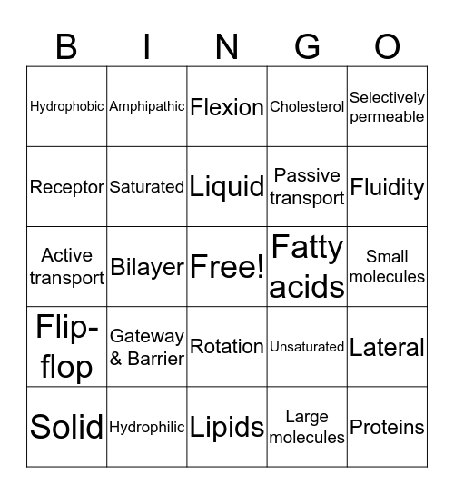 Membrane Bingo!  Bingo Card