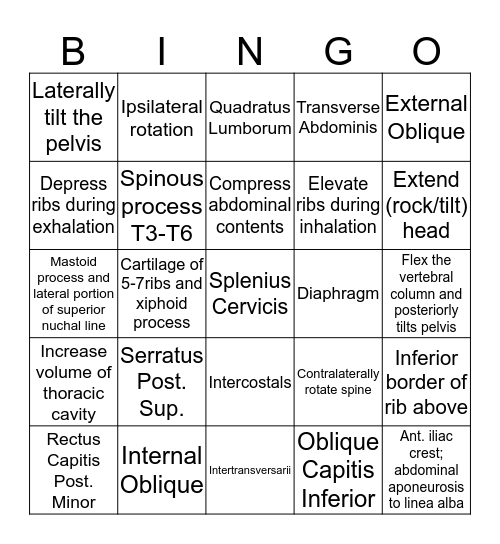 Thorax and Spine Midterm Review Bingo Card