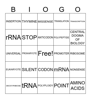Bio 1 5th Period RNA & Protein Synthesis Review Bingo Card