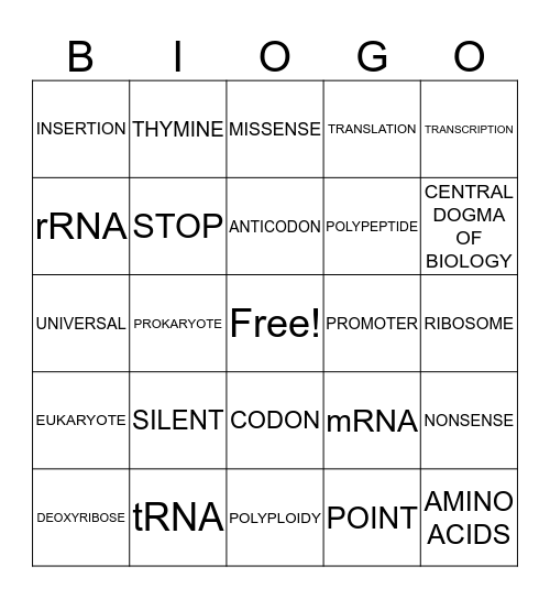 Bio 1 5th Period RNA & Protein Synthesis Review Bingo Card