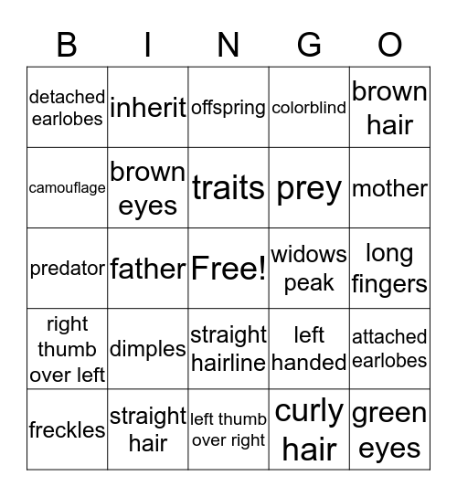Variation of Traits Bingo Card