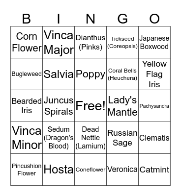 Perennials Bingo Card