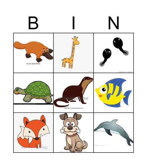 Animal  Bingo Card