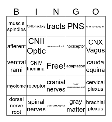 Nervous System Bingo Card