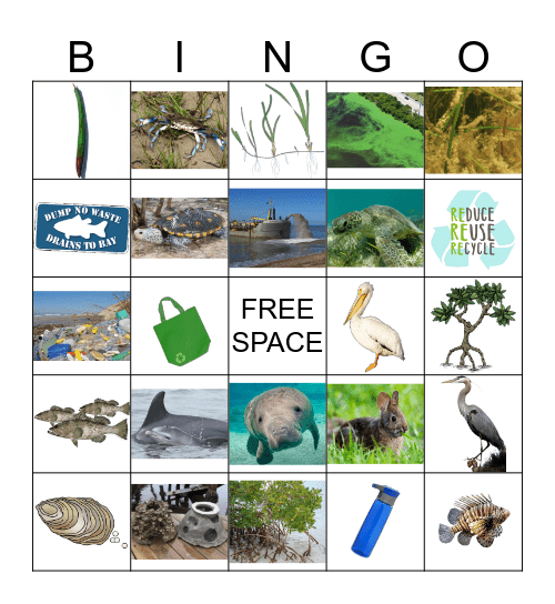 INTRODUCTION BINGO Card