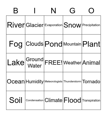 Water Cycle Bingo Card