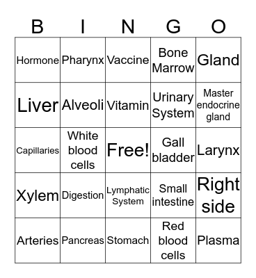 General Science Bingo Card