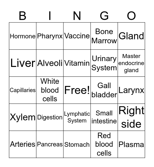 General Science Bingo Card