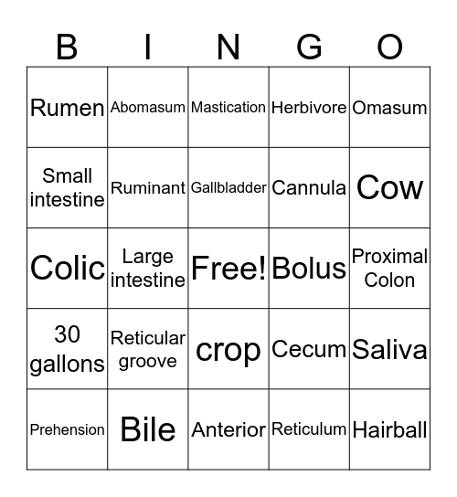 Stomach Bingoo!! Bingo Card