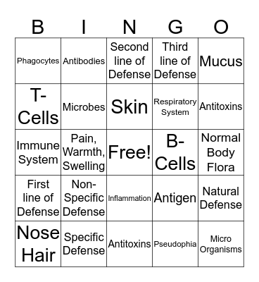 Protection of the body Bingo Card