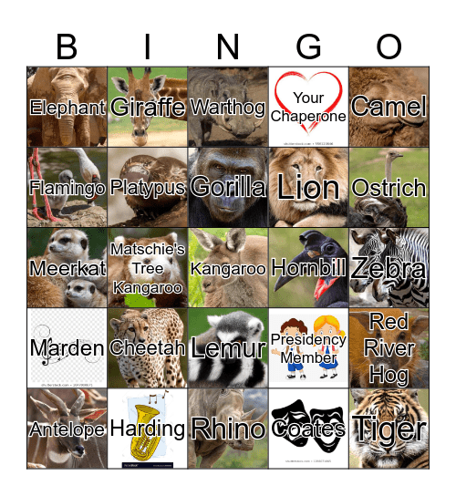 African Safari Bingo Card