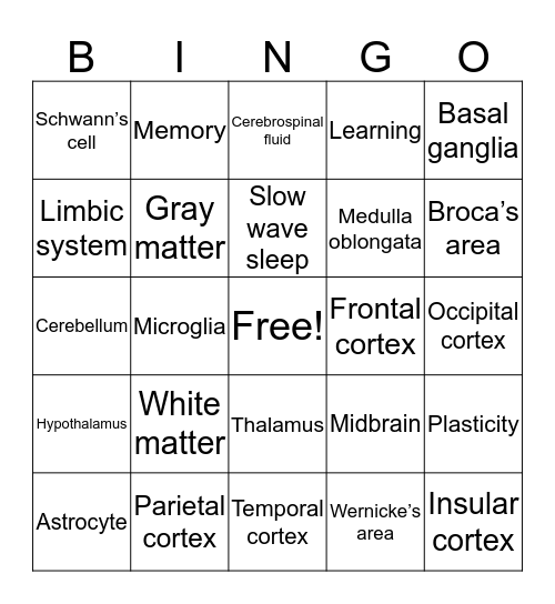 Functional Neuroanatomy Bingo Card