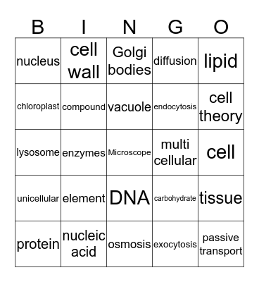 Science Review Bingo Card