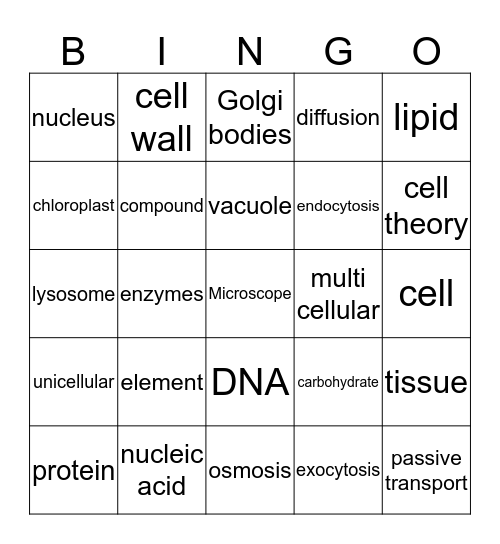 Science Review Bingo Card