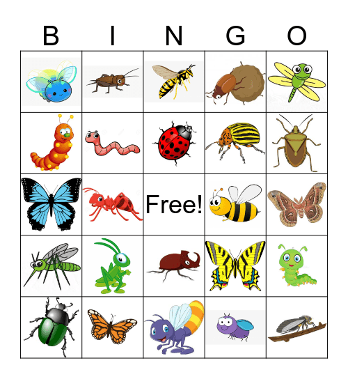 BUG Bingo Card