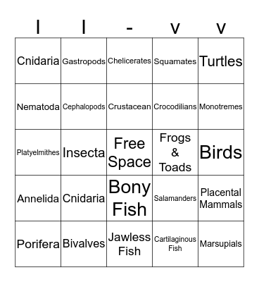Animal Phylum Bingo Card
