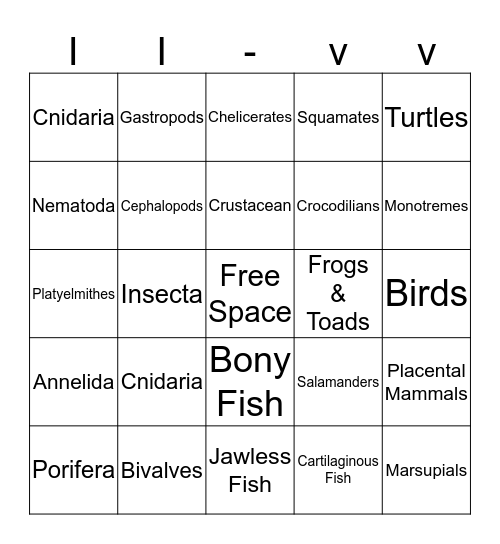 Animal Phylum Bingo Card