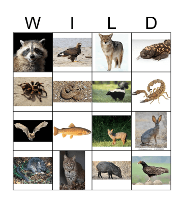 Wild Bingo Card