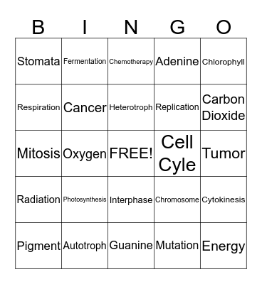 Mrs. Tyler's Cell Processes Bingo Card