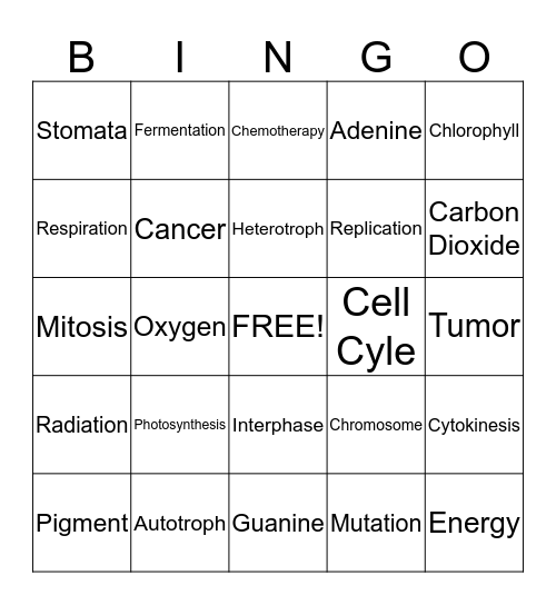 Mrs. Tyler's Cell Processes Bingo Card