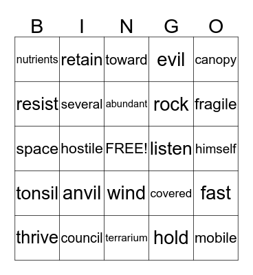 4TH GRADE Bingo Card
