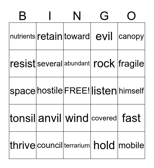 4TH GRADE Bingo Card