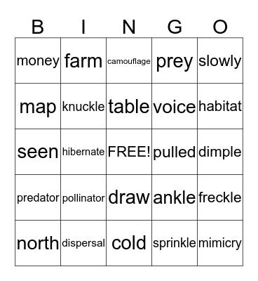 4th GRADE Bingo Card