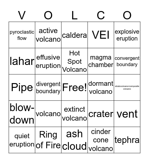 VOLCO Bingo Card