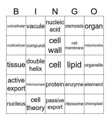 science bingo Card