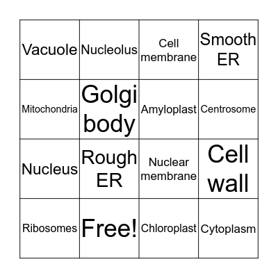 Plant Cell Bingo Card