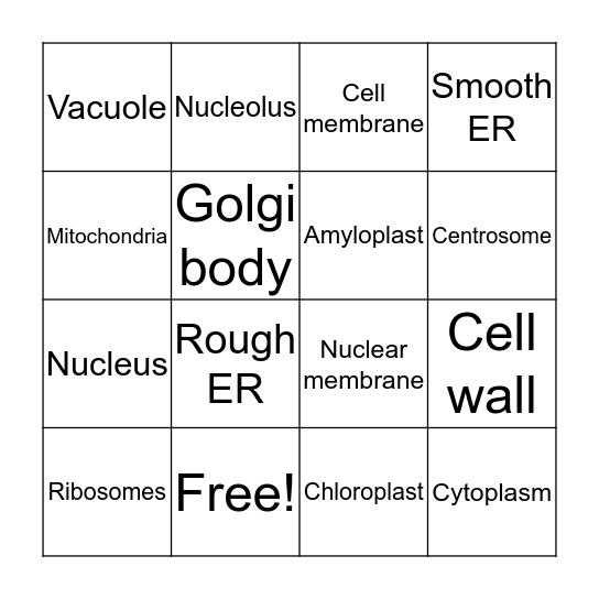 Plant Cell Bingo Card