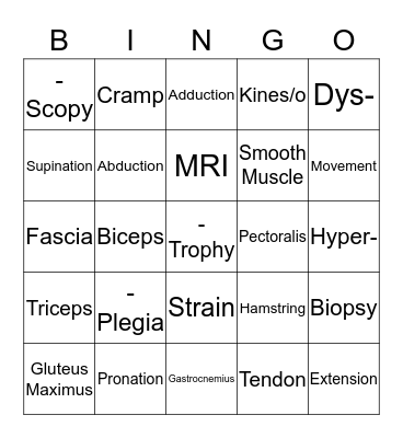 Muscular System Bingo Card