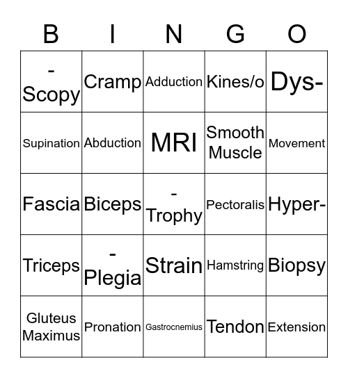 Muscular System Bingo Card