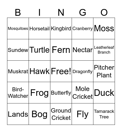 Frog in a Bog Bingo Card