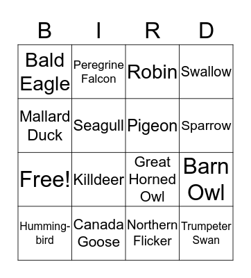 Bird Identification Bingo Card