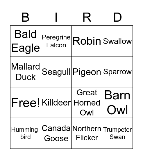 Bird Identification Bingo Card