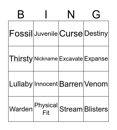 Holes Vocabulary  Bingo Card