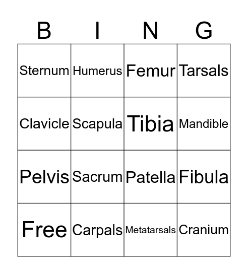 Skeletal System BINGO Card