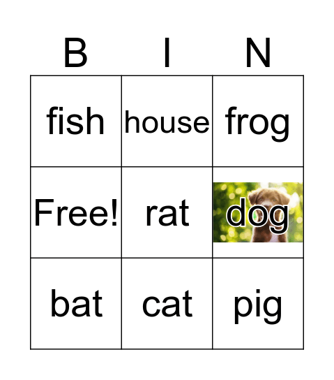 animals Bingo Card