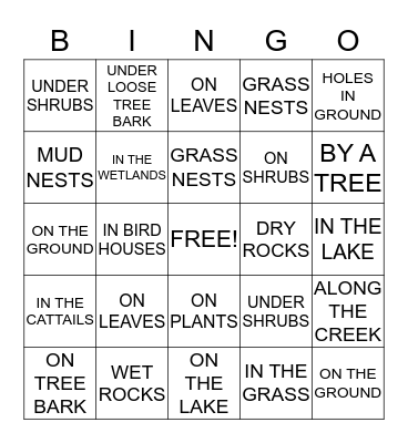 WILD BEDS Bingo Card