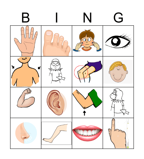 Body Parts Bingo Card