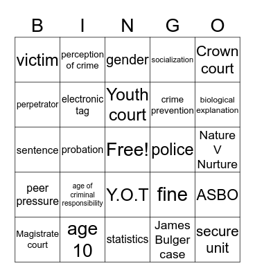 Youth Crime Bingo Card