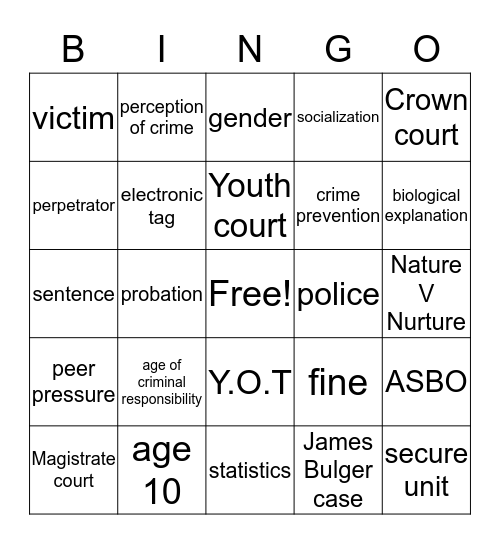 Youth Crime Bingo Card
