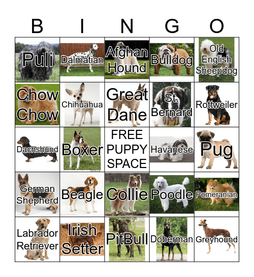 DOG BREED BINGO Card
