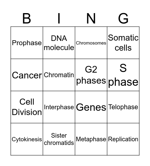 Mitosis and the cell cycle Bingo Card